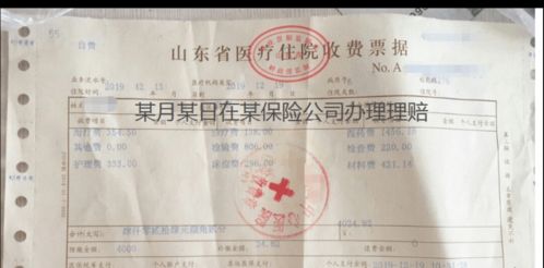 人保寿险全方位服务指南 保单查询、验真、发票与理赔