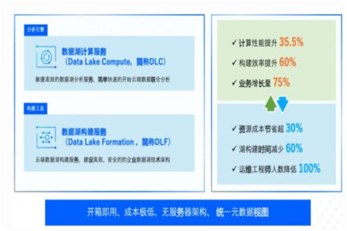 腾讯云原生智能数据湖 构建企业实时智能服务引擎与票据信息咨询服务